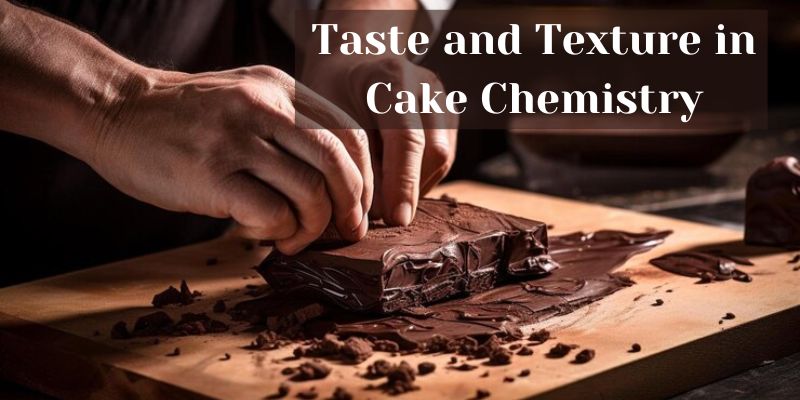 Cake Chemistry: Balancing Taste and Texture in Training Concepts